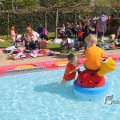 IMG_1229700