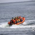 IMG_1231196