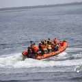 IMG_1231197