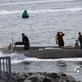 IMG_1231204