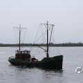 IMG_1231207