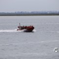IMG_1231211