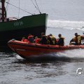 IMG_1231221
