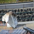 IMG_1231514