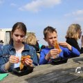 IMG_1231536