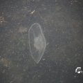 IMG_1231549