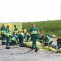 IMG_1231558
