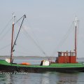 IMG_1231602