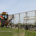 IMG_1231707