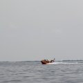 IMG_1231715
