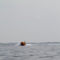 IMG_1231718