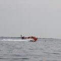 IMG_1231726