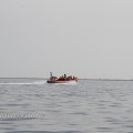 IMG_1231731