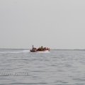 IMG_1231732