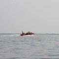 IMG_1231733