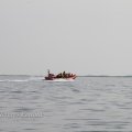 IMG_1231734