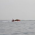 IMG_1231735