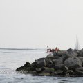 IMG_1231738