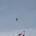 IMG_1232323