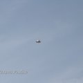 IMG_1232324