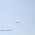 IMG_1232326