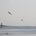 IMG_1232358