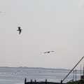 IMG_1232359