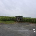 IMG_1232661