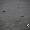 IMG_1232712