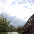 IMG_1232846