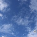 IMG_1232851
