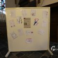 IMG_1233134