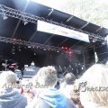 bevrijgingsfeest_1233297