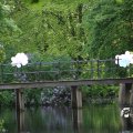 IMG_1232890
