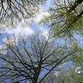 IMG_1232902