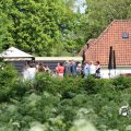 IMG_1232933