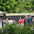 IMG_1232935