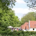 IMG_1232954