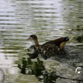 IMG_1232972
