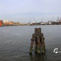 IMG_1233477