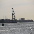 IMG_1233497