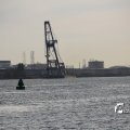 IMG_1233498