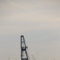 IMG_1233505