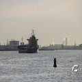 IMG_1233508