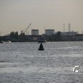 IMG_1233510