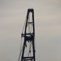 IMG_1233512