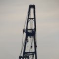 IMG_1233513