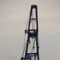 IMG_1233514