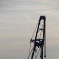 IMG_1233517