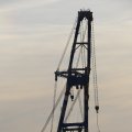 IMG_1233528